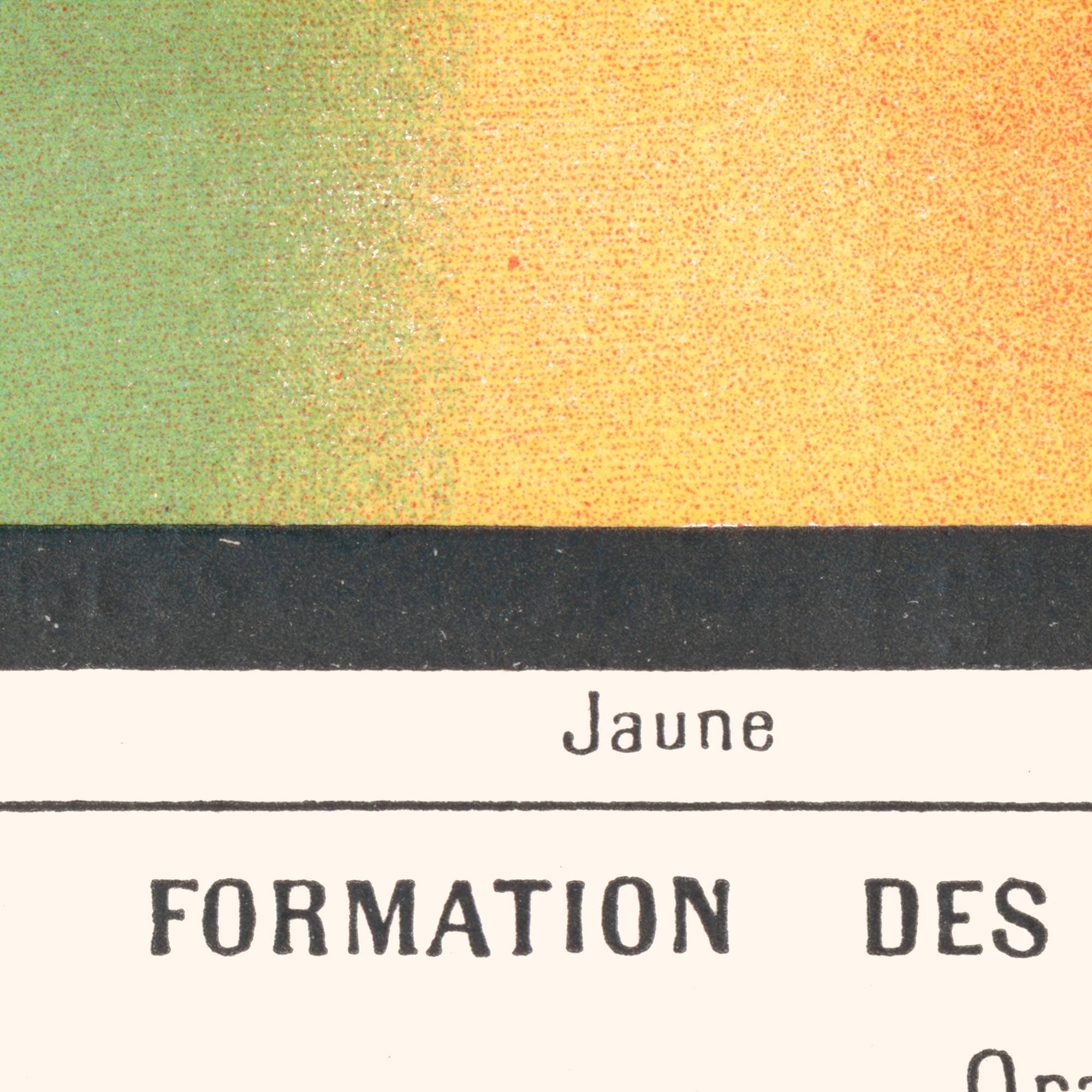 Aster Edition - Wholesale Poster - Poster: Colors, Sun Spectrum & Artistic Colors4