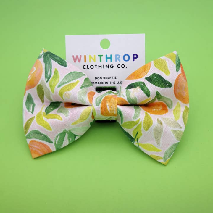 Papillon per cani Clementine Arancione per la vendita all'ingrosso da parte di Winthrop Clothing Co.