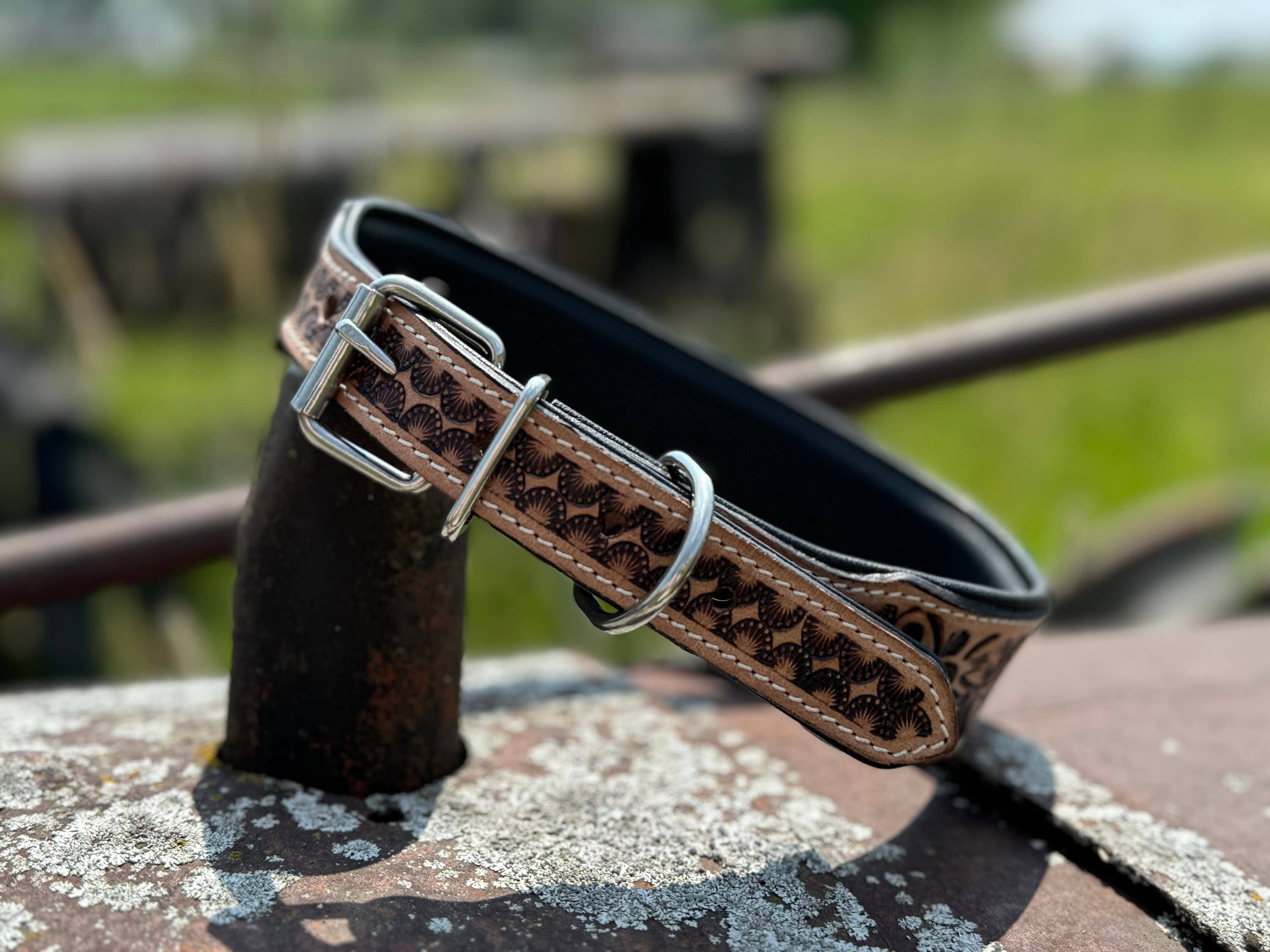 Double B Wild Rags - Wholesale Pet Collar - Dog - Western leather dog collar tooled and seed bead details by Double B Wild Rags4