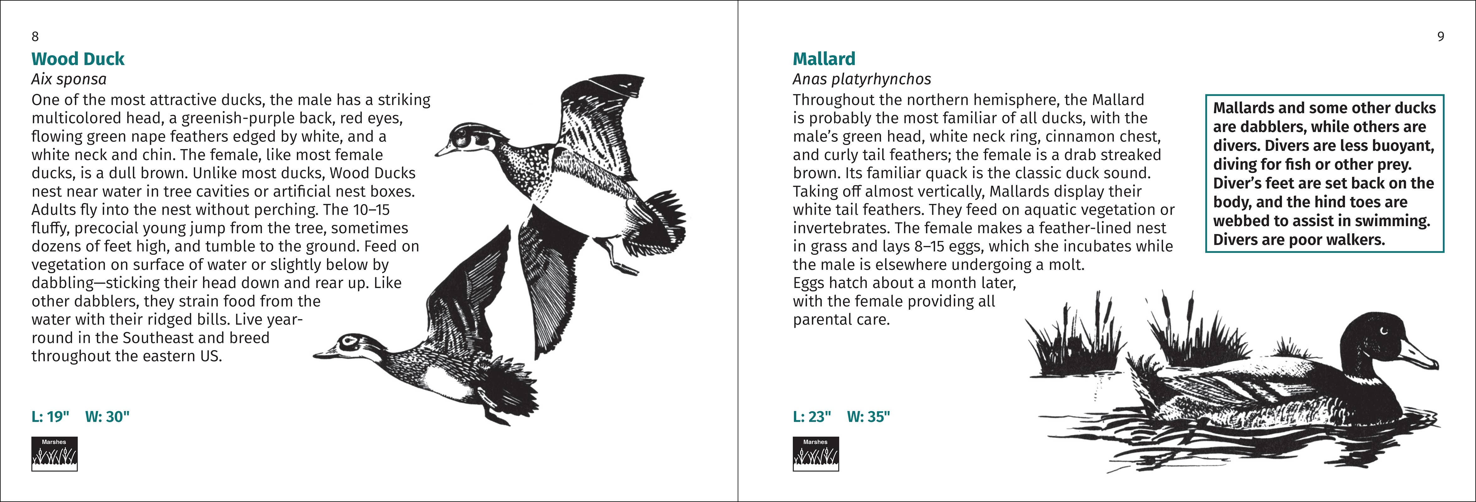 AdventureKEEN - Wholesale Nature & Outdoors - Bird Finder 2e9