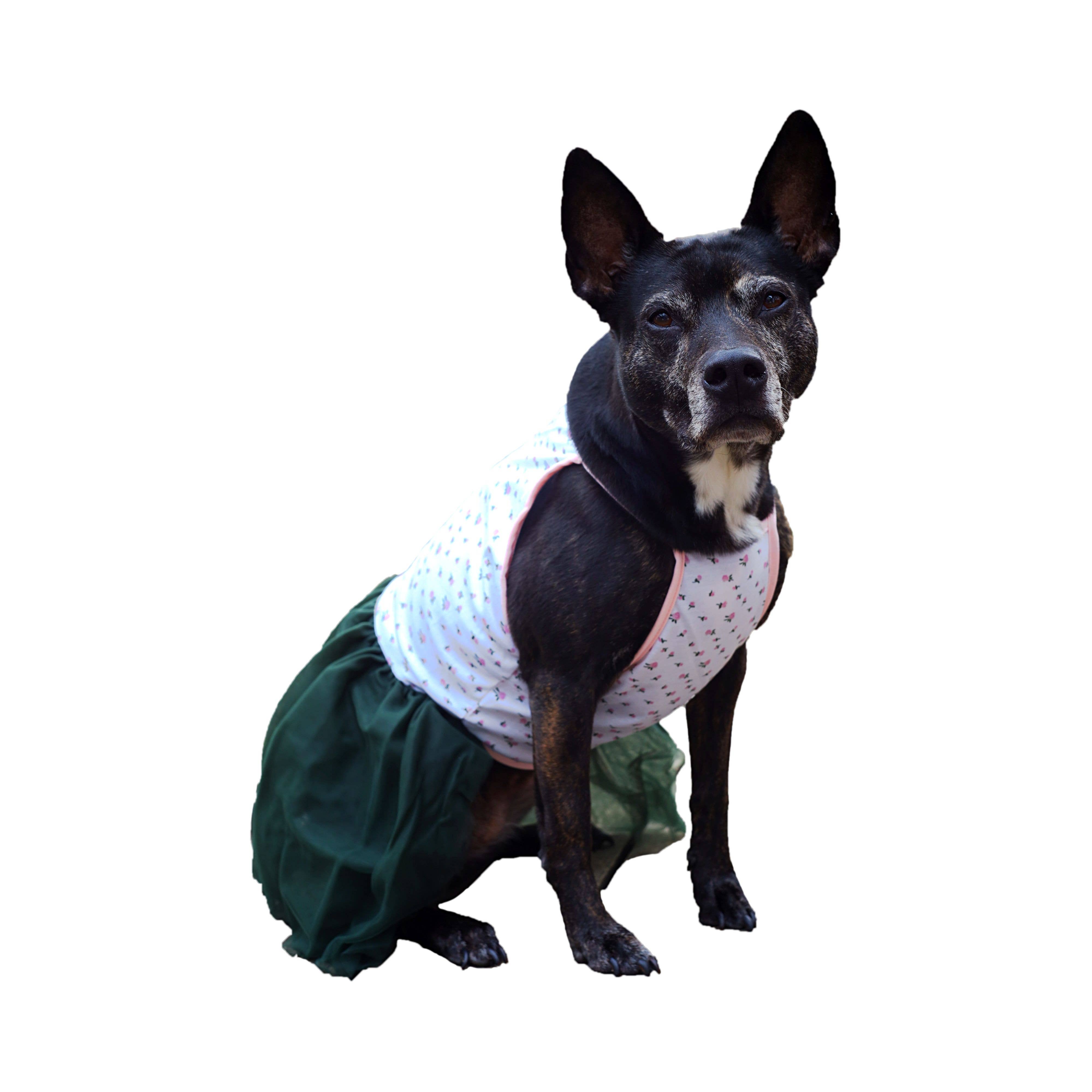 Midlee Designs – vestido - Cão por atacado – Vestido grande para cães Midlee Pink Rose Tutu6