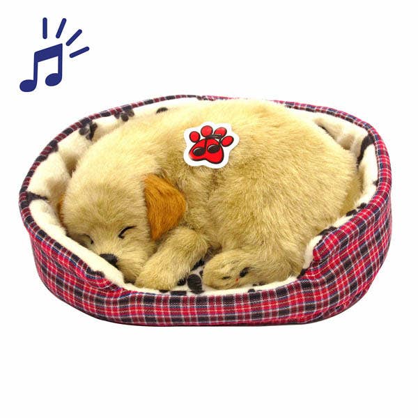 Labrador C/ Sonido en Capazo pour la vente par JUMI