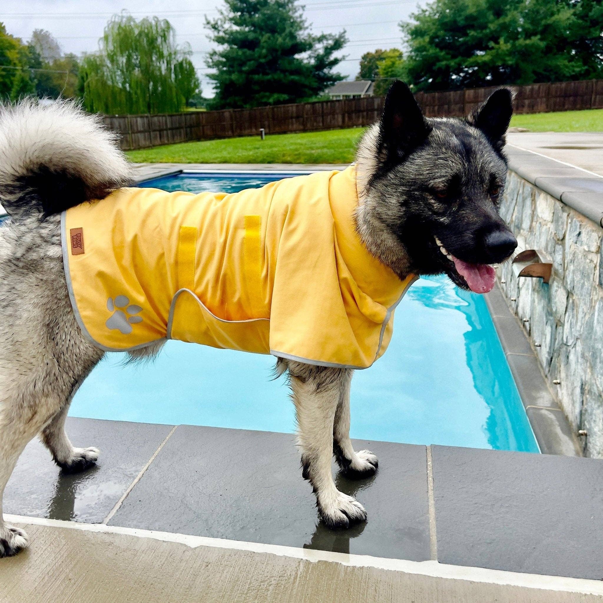 Pouty Paws - Wholesale Pet Towel - Dog - Super Absorbent Lightweight Dog Drying Robe4