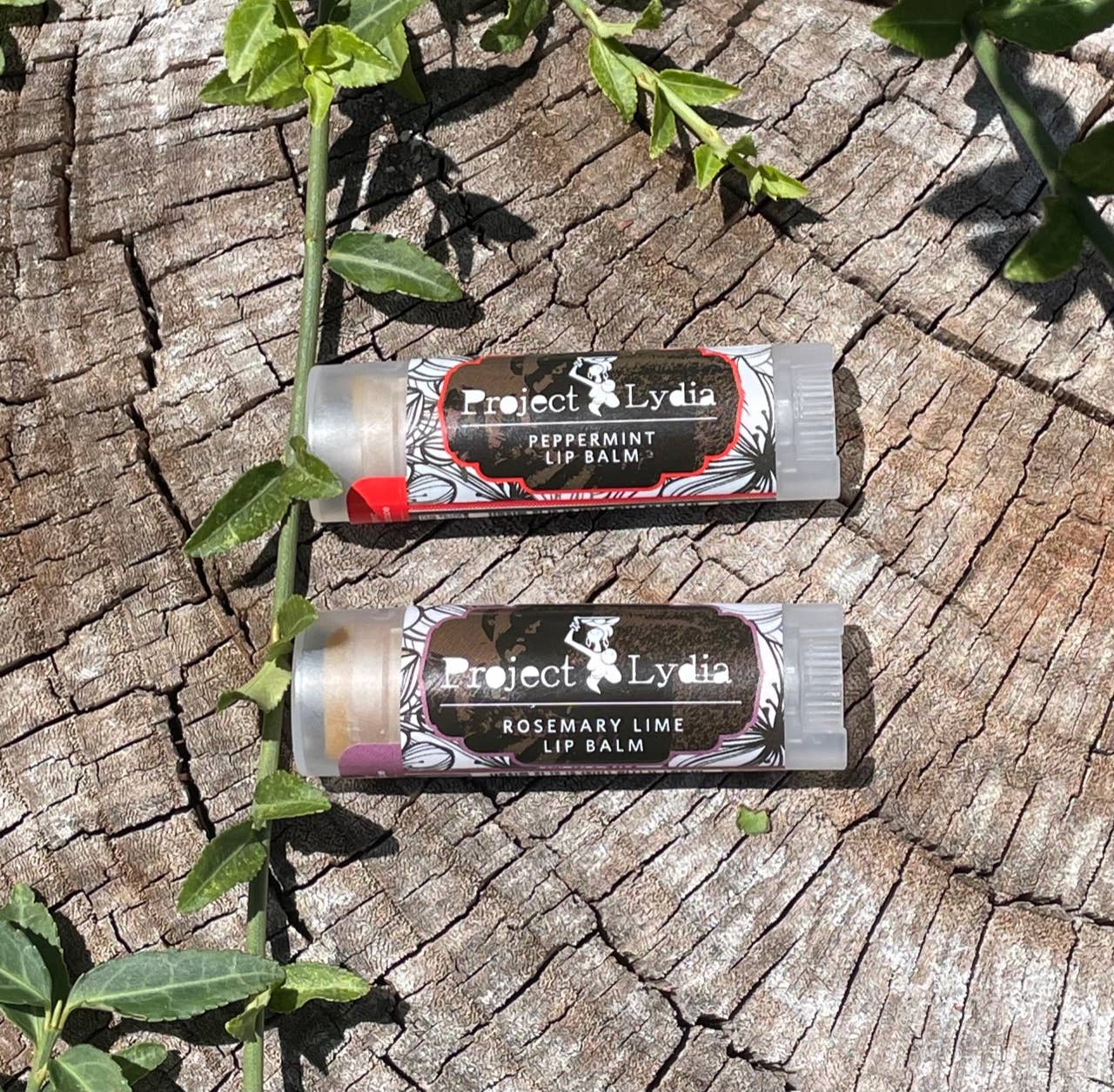 Project Lydia - Wholesale Lip Balm - Moringa Oil Lip Balm - Rosemary-Lime, Peppermint0