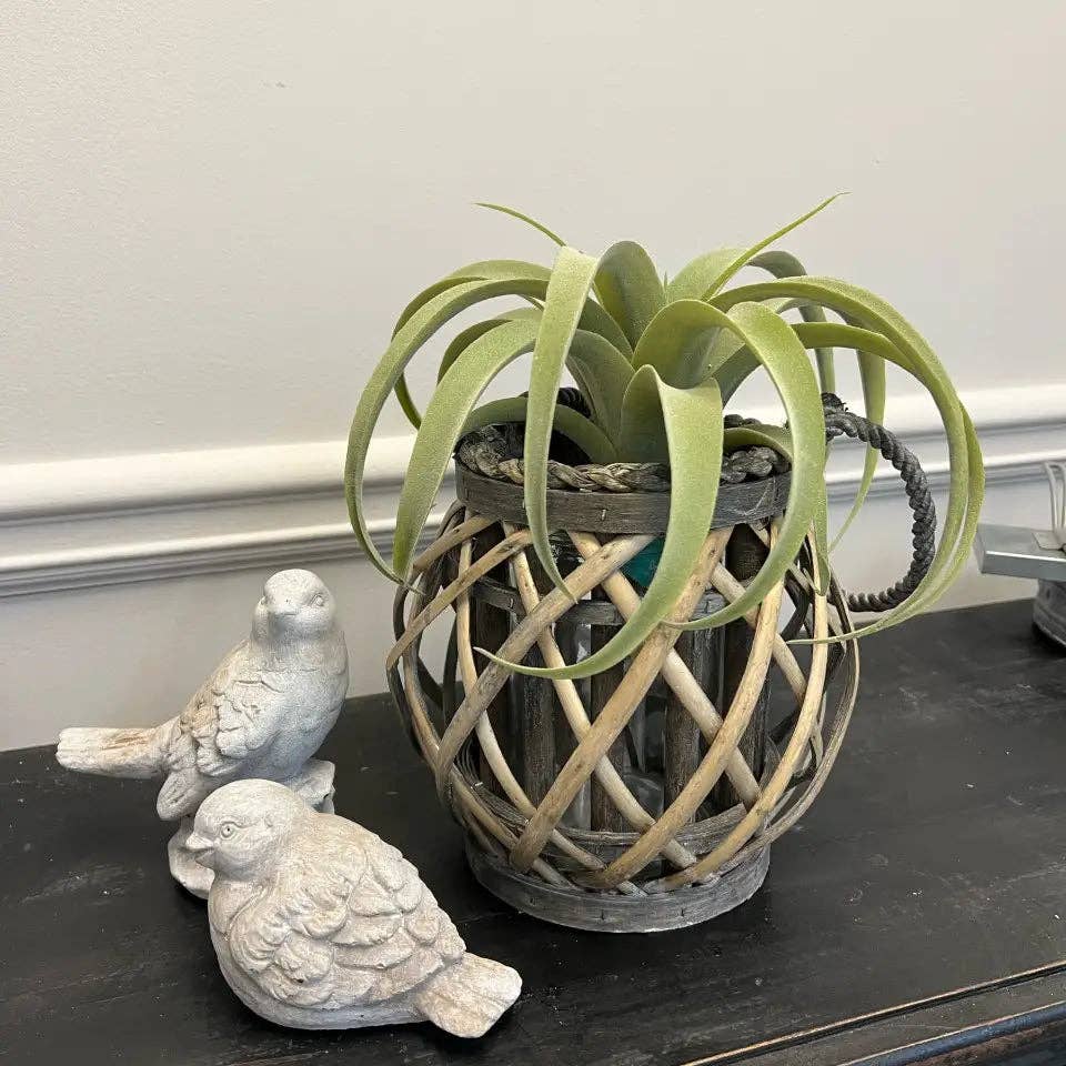 Vagabond Vintage - Wholesale Lantern - WILLOW LANTERN WITH GLASS VASE4