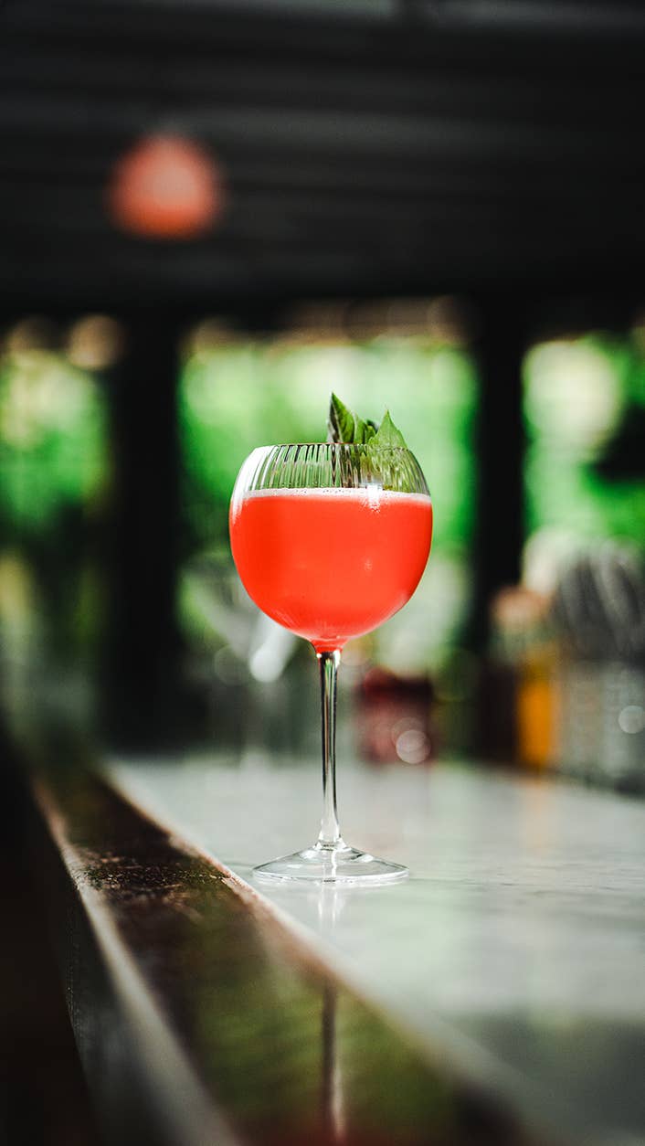 Hospitality Glass - Wholesale Cocktail/Liquor Glass - Hawthorne 20 oz. Gin and Tonic3