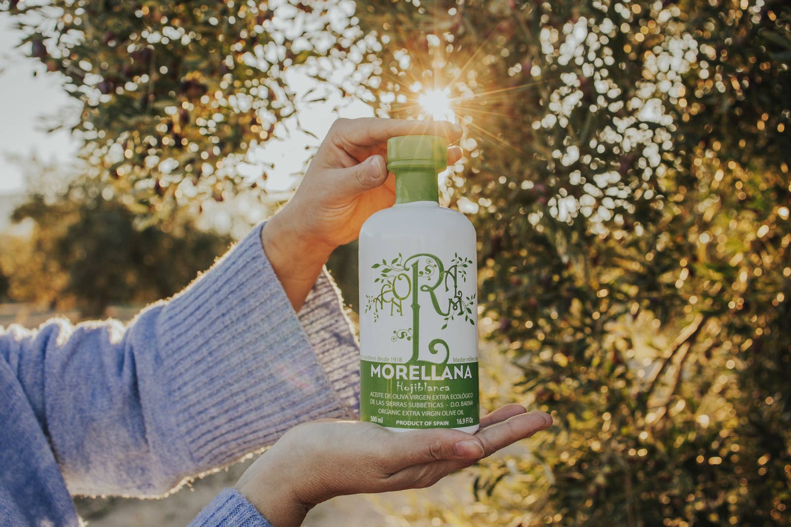 SUCESORES DE HERMANOS LOPEZ S.A. – Azeite por atacado – Azeite Extra Virgem Orgânico Monovarietal Morellana Hojiblanca 500 ml6