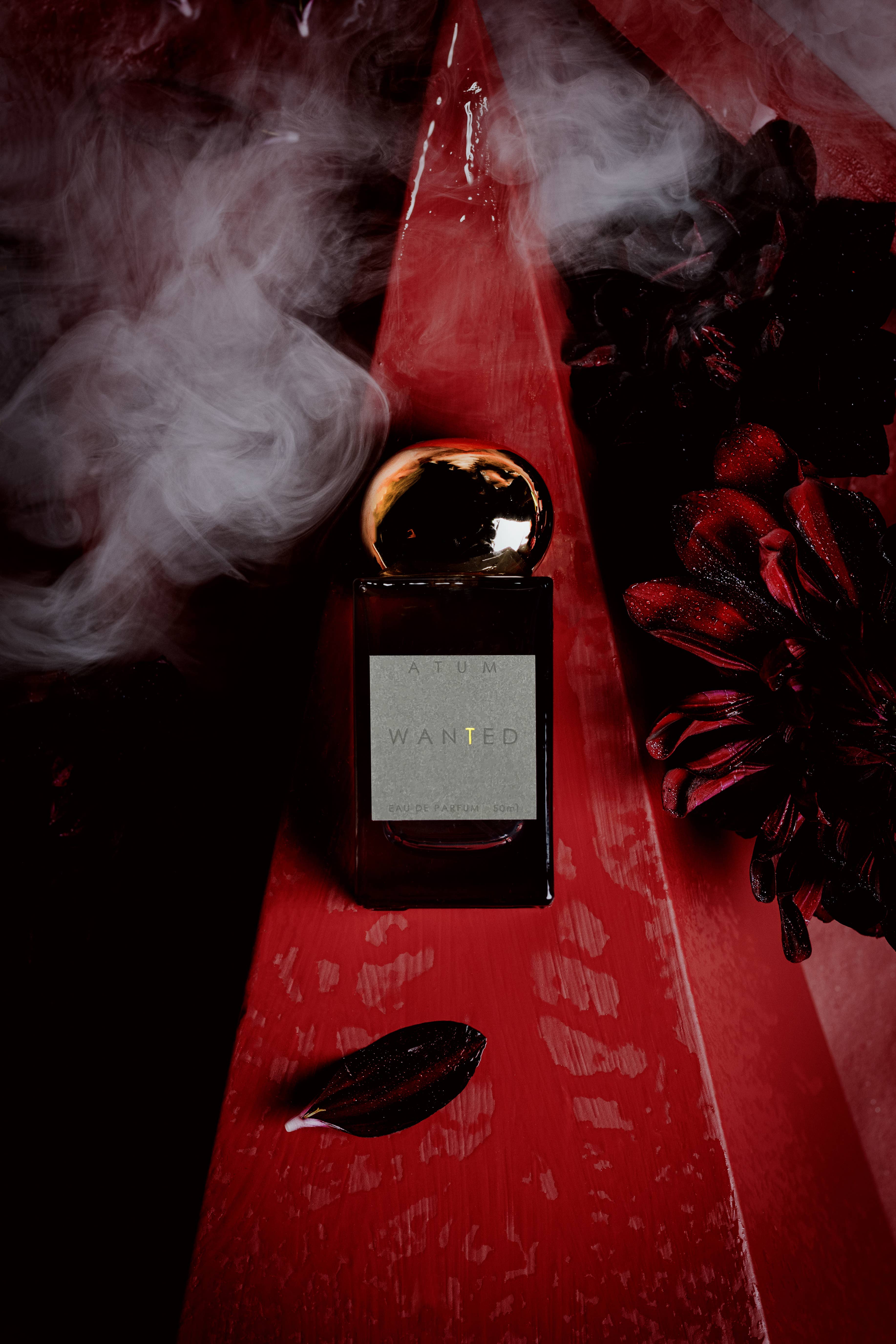 ATUM FINE FRAGRANCE - Wholesale Perfume/Eau de Toilette - Atum Perfume 50ml - Wanted 3