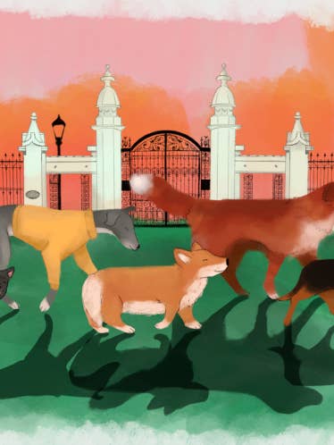 Trinity Bellwoods Hundar - Toronto-inspirerad Bedårande Tryck för wholesale av Studio Junco