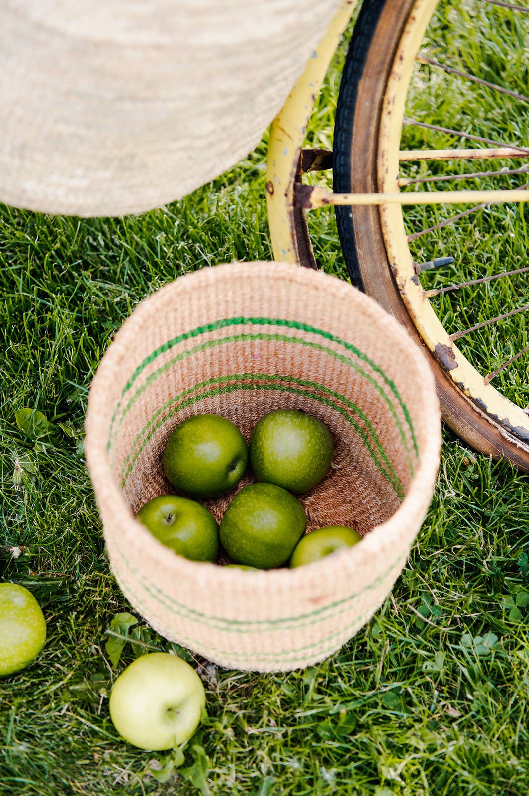 Crafts by Solid - Wholesale Basket - Handwoven Sisal Baskets - Colourful hues - XXS - XXL20