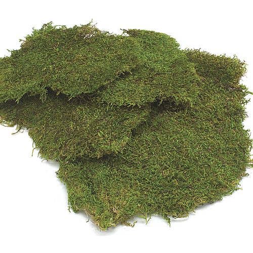 Sheet Moss 5lb Bag FA1015 for wholesale by Replica Plants and Decor