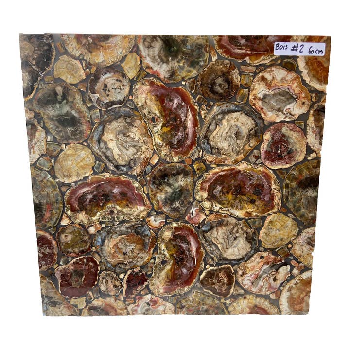 Fyrkantigt Bord - Förstenat Trä nr 2 för wholesale av Minéraux d'ailleurs