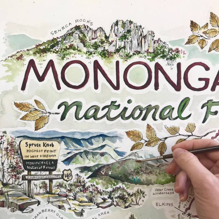 Rosalie Haizlett Illustration - Wholesale Map - Monongahela National Forest Map - Watercolor Art Print5