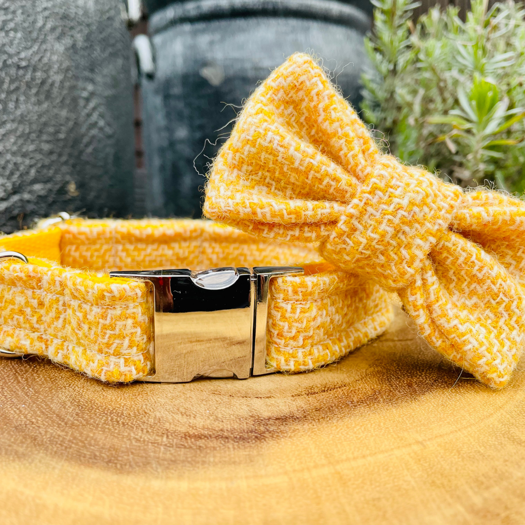 Stylish Dogs - Collars, Leads BowTies, Bandanas – wholesale Pet bow tie – Dog – Harris Tweed  - Yellow White  Tweed Dog Bow Tie2