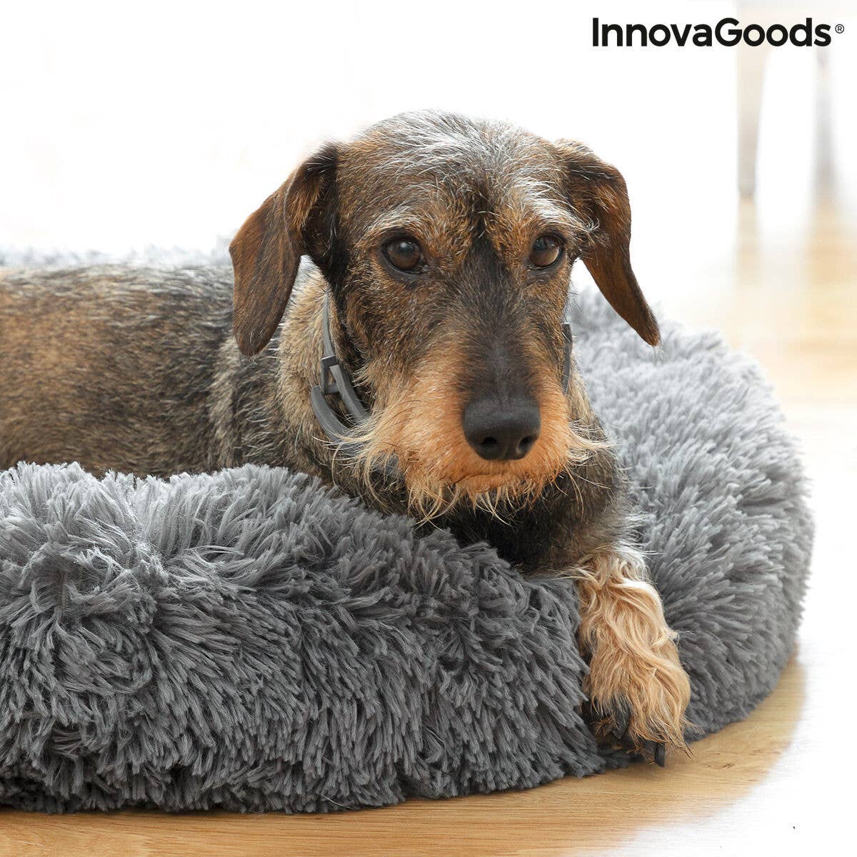 InnovaGoods - Venta al por mayor Cama - Gatos y perros - Cama Antiestrés para Mascotas Bepess InnovaGoods Ø 60 cm3