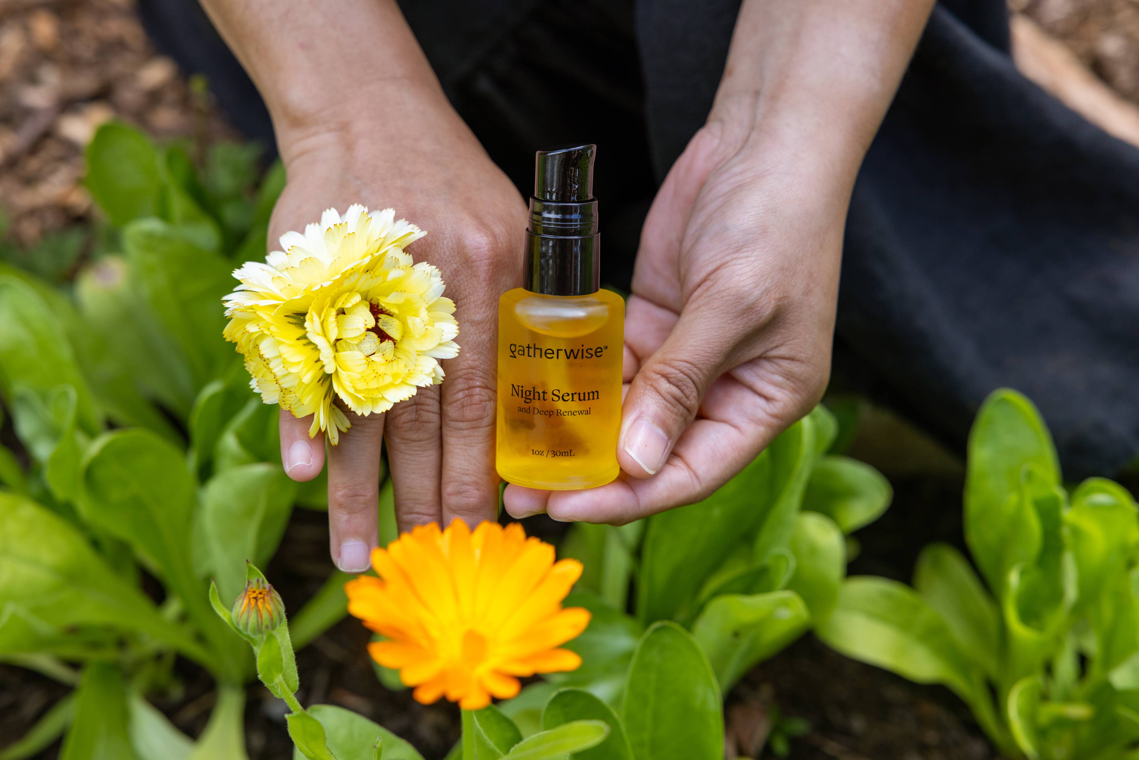 Gatherwise - Wholesale Facial Serum/Concentrate - Night Serum and Deep Renewal2