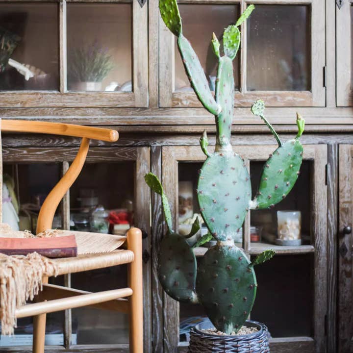 Rustic Reach - Wholesale Artificial Plant - Artificial Cactus in Pot Various Styles7