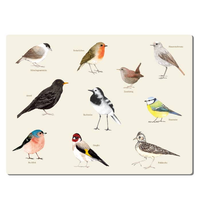 Tafelset - Inheemse Vogels 40x30 cm voor wholesale door moreydesign | ask a duck