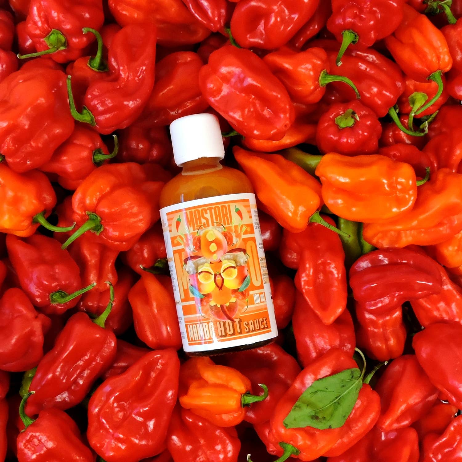 MASTARI - Wholesale Hot Sauce - MAMBO Hot Sauce 🌶️1