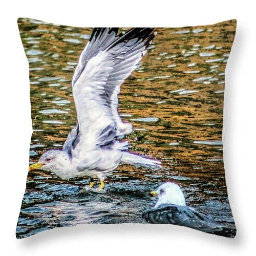 CUSCINO "THE LAKE'S SEAGULLS IN ART" per la vendita all'ingrosso da parte di sorayadapuzzostore