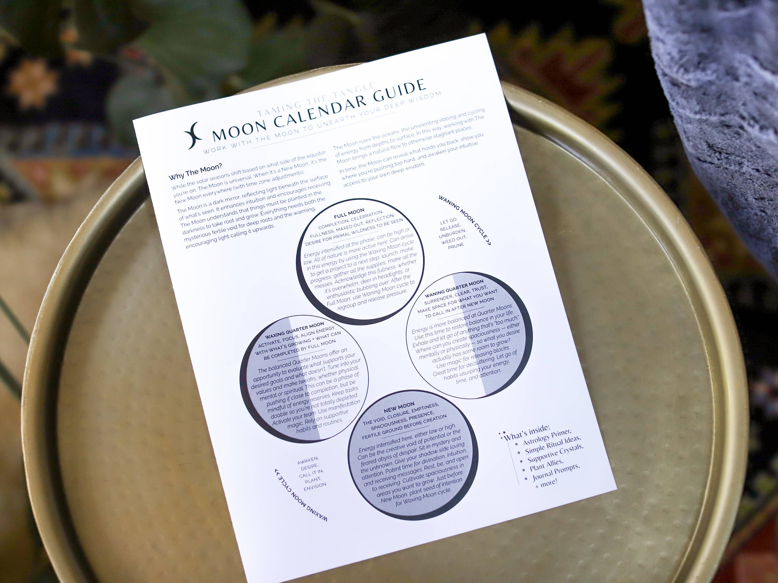 Taming the Tangle - Wholesale Calendar - Golden Hour 2026 Moon Calendar poster, limited edition6