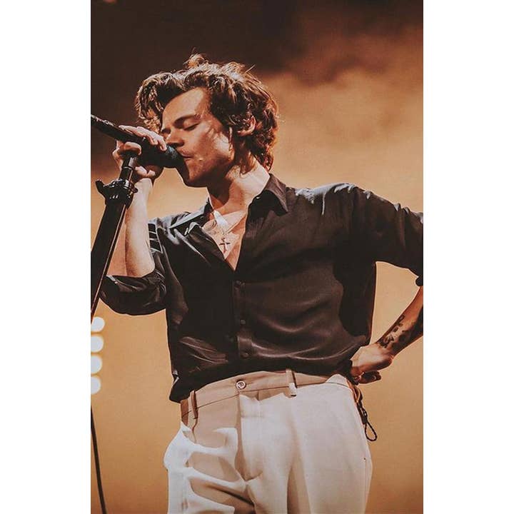 PosterSource - Wholesale Poster - Harry Styles Concert Photo