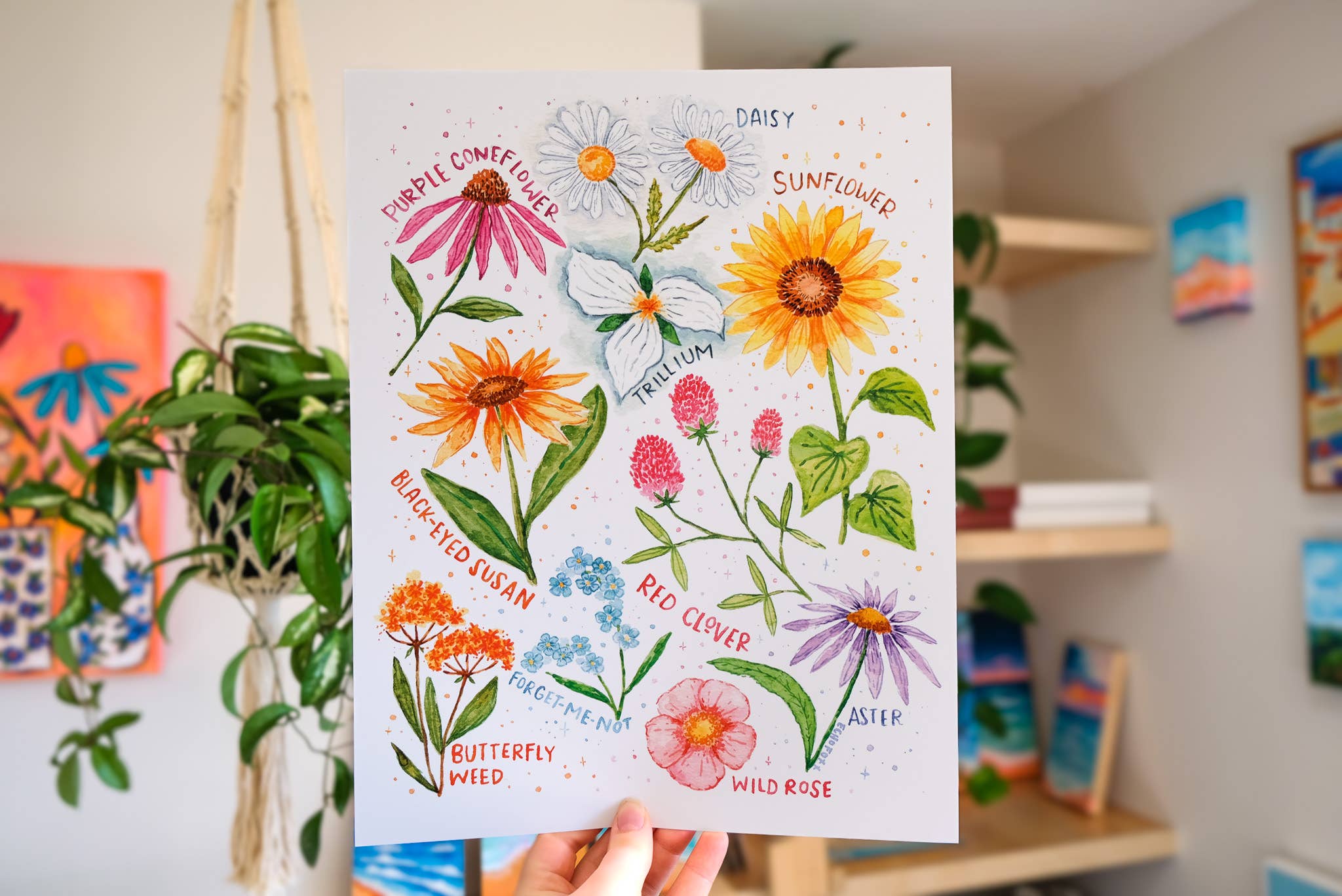 Echo Foxx - Wholesale Art Print - Michigan Wildflowers Watercolor Art Print2