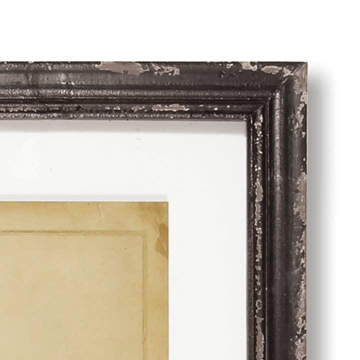 Napa Home & Garden – wholesale Galleriväggselement – Inramade vintage ormbunkstryck S/82