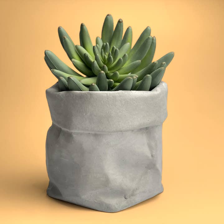 AURA 8 Art Boutique – wholesale Plant pot – Paper Bag Flower Pot, Succulent Planter Pot, Concrete Vase