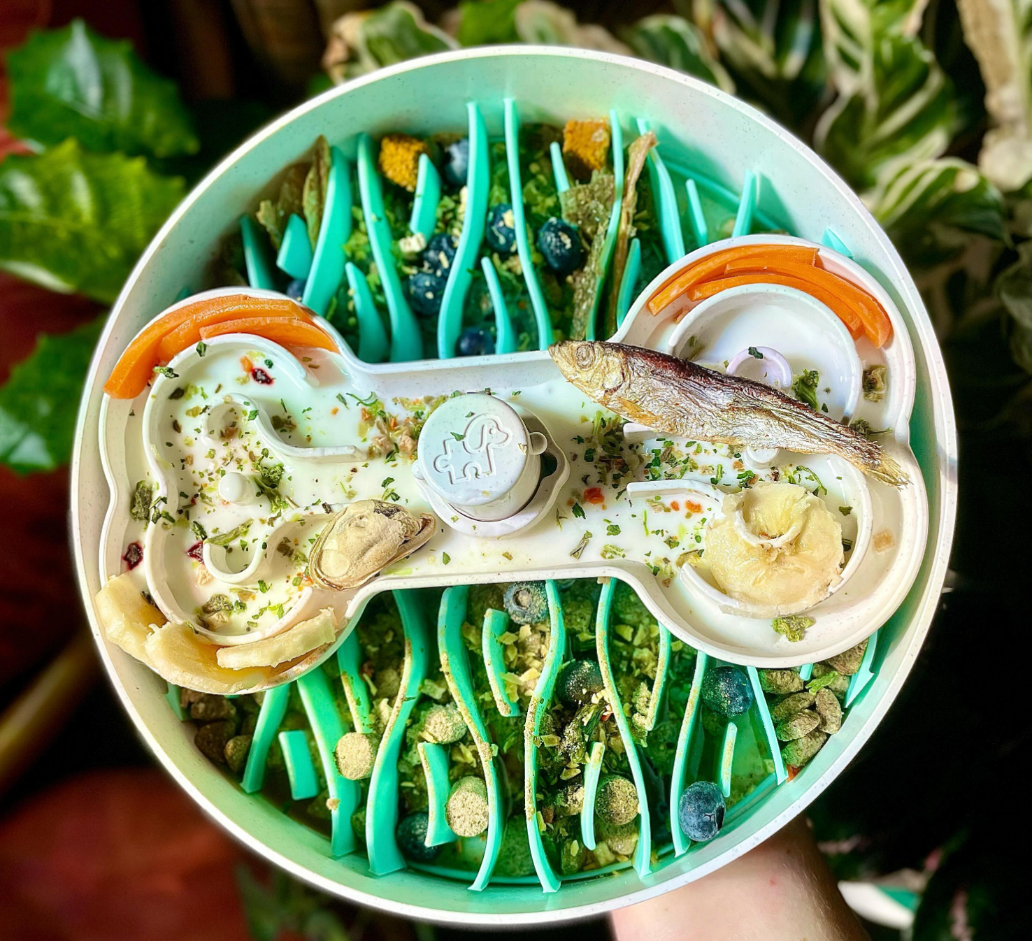 Pet Future llc - Wholesale Pet Bowl - Cat/Dog - Puzzle Feeder - Slower than a Slow Feeder Dog Bowl Dog Slow4