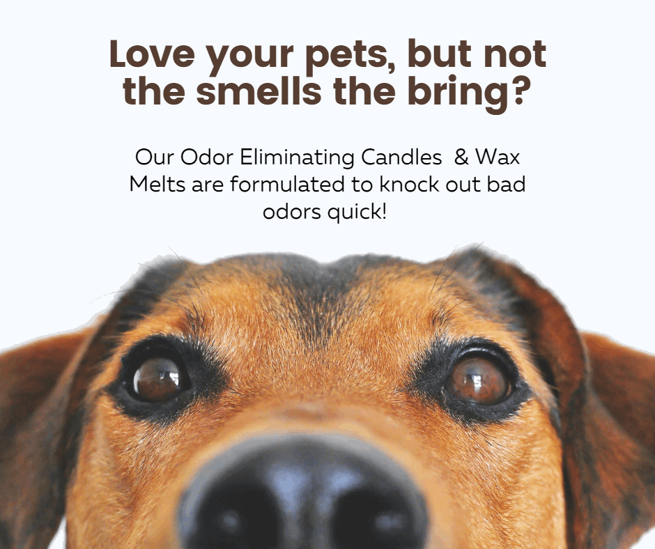 Sandra Sue Creations LLC - Wholesale Wax Melt - Odor Eliminating Soy Wax Melt, 2.75oz | Citrus or Linen3