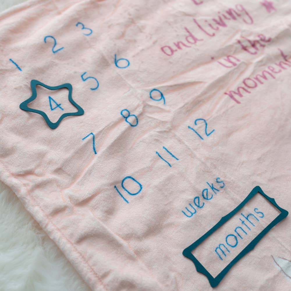 Ziggle Baby – wholesale Milestone blanket – Child & baby – Bunnies Milestone Blanket6