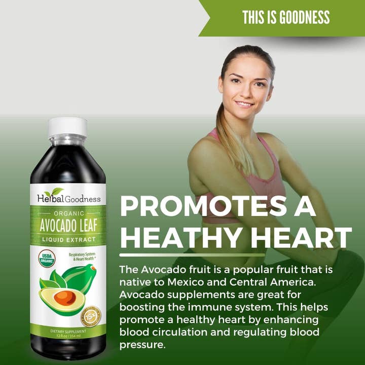 Herbal Goodness - Wholesale Oral Supplement/Vitamin - Avocado Leaf Extract 12oz - Herbal Goodness