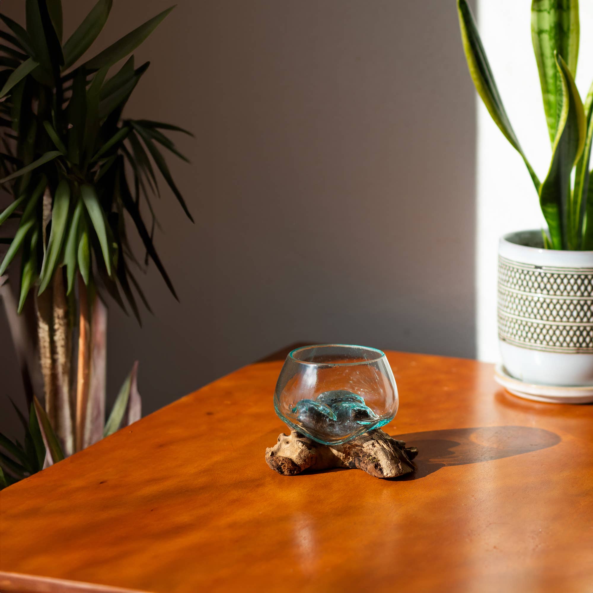 Cohasset Gifts - Wholesale Terrarium - 4" Open Mouth Molten Glass Terrarium2