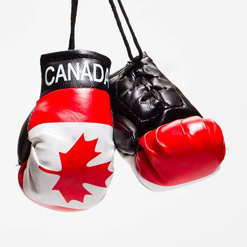 International Boxing Gloves for wholesale by Flag Matrix Inc