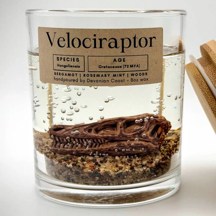 Velociraptor Dinosaur Clear Gel Candle – Large 8oz Wax and other Purchase Wholesale velociraptor. Free Returns & Net 60 Terms on Faire trending on Faire.