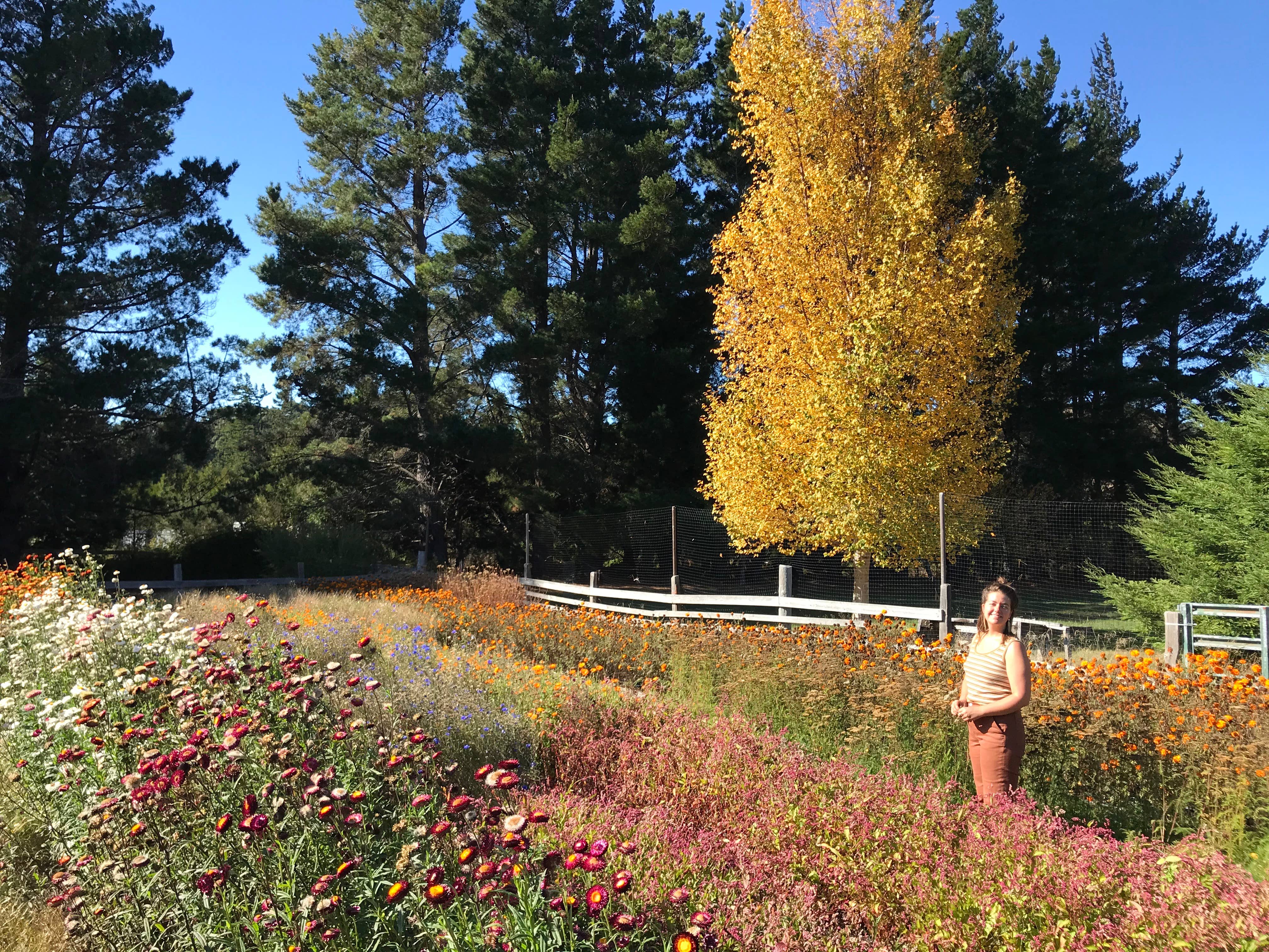 Root Rise Farm & Apothecary - Wholesale Bath/Body Oil - Earthbody Oil2