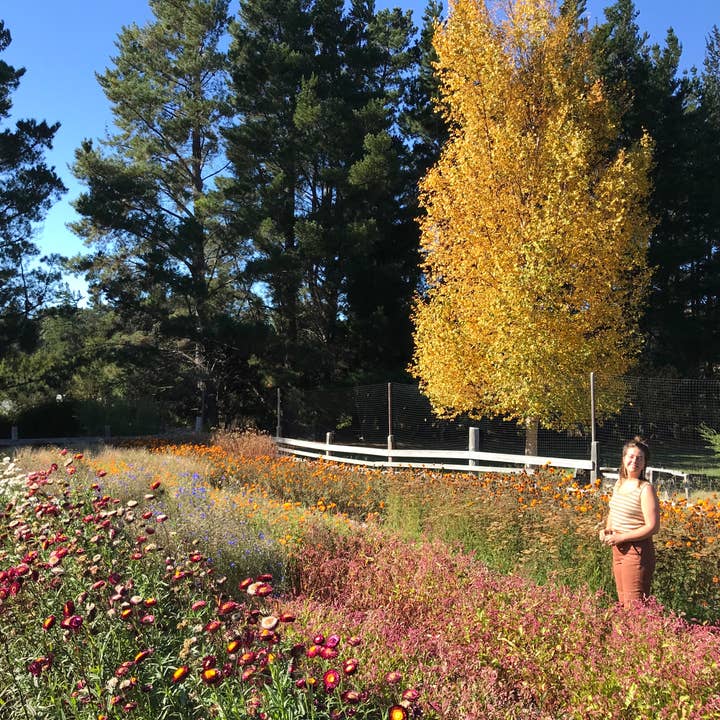 Root Rise Farm & Apothecary - Wholesale Bath/Body Oil - Earthbody Oil2