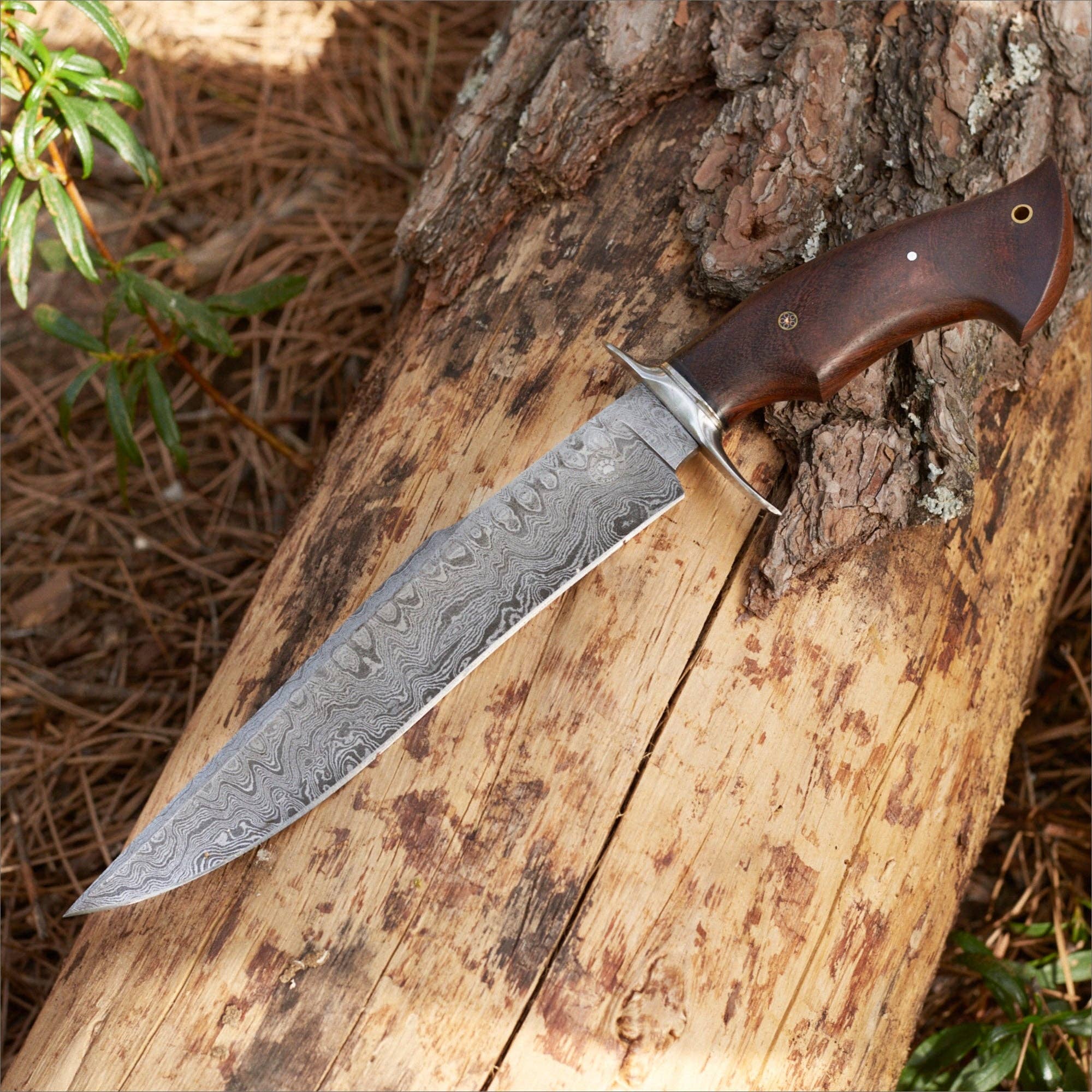 BigCat Knives - Vente Couteau de poche/étui - Couteau de chasse Raptor Damas8