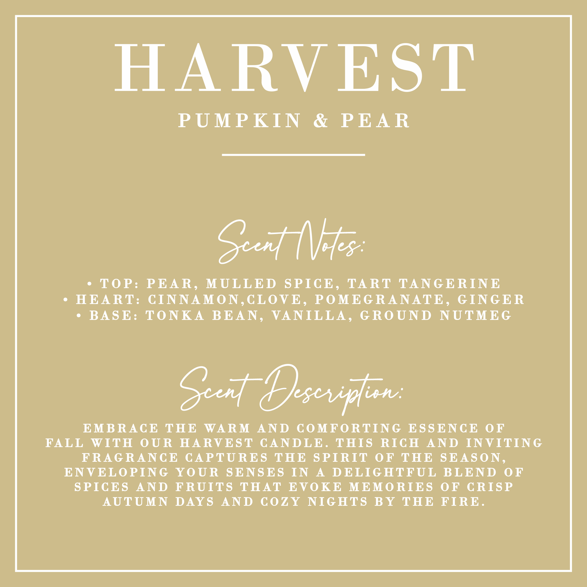 Porter Lane Home - Wholesale Jar/Filled Candle - HARVEST | Pumpkin + Pear Candle | Luxe Collection1