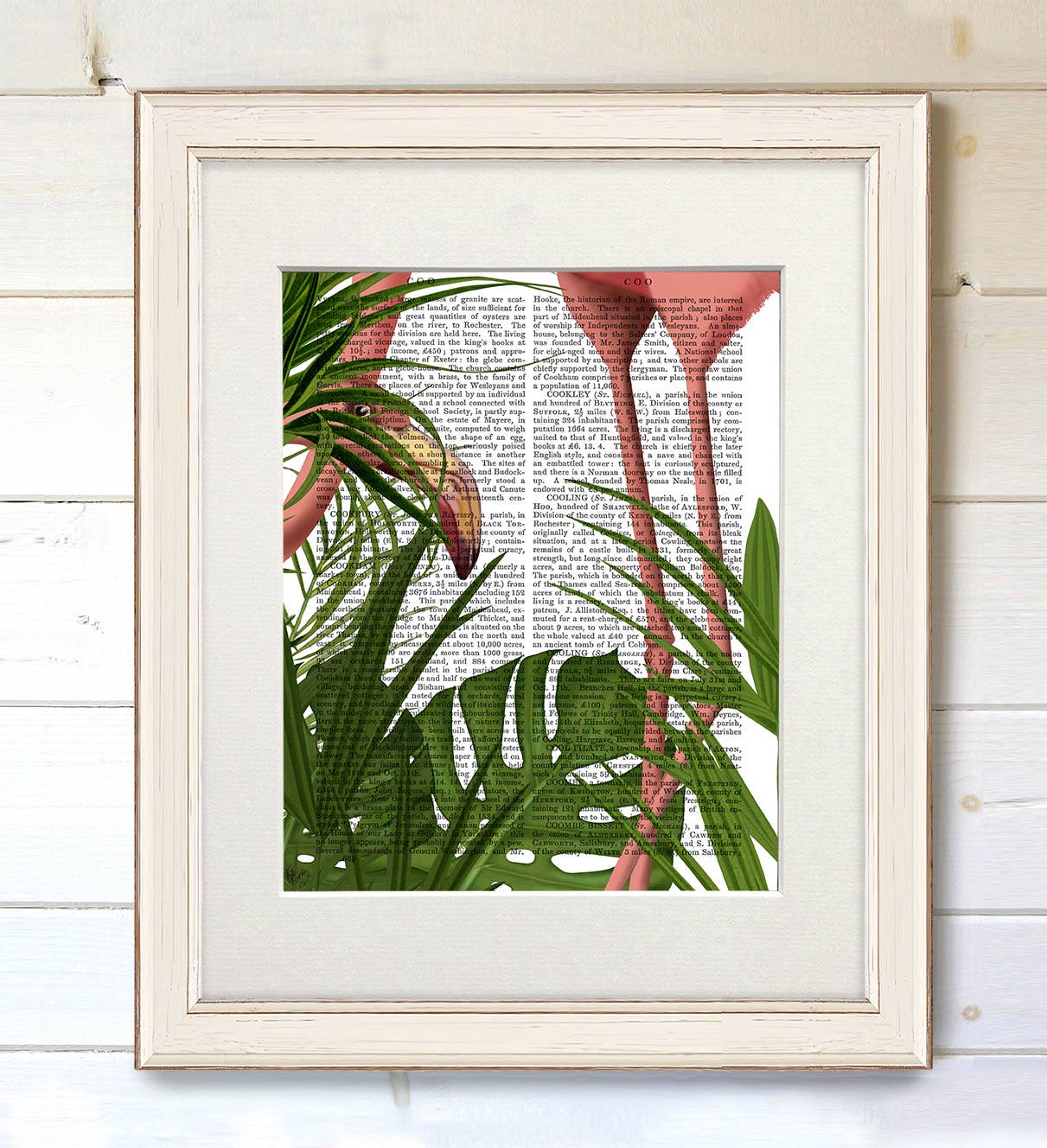 FabFunky Ltd - Wholesale Art Print - Flamingo Peering, Tropical Book Print / Art Print / Wall Art1