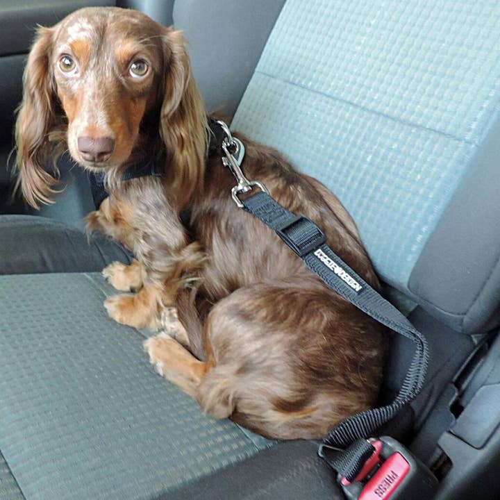 Doggie Design - Wholesale Pet Leash - Dog - Seat Belt Strap Dog Car Leash