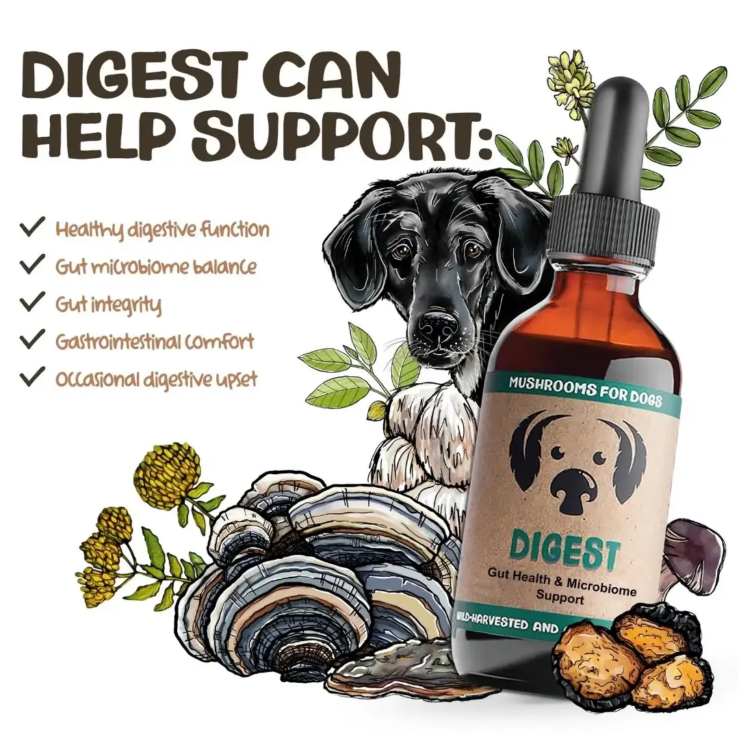 MycoDog - Wholesale Pet Supplement - Dog - Digest – Mushroom Tincture for Dogs | Digestive Support
2