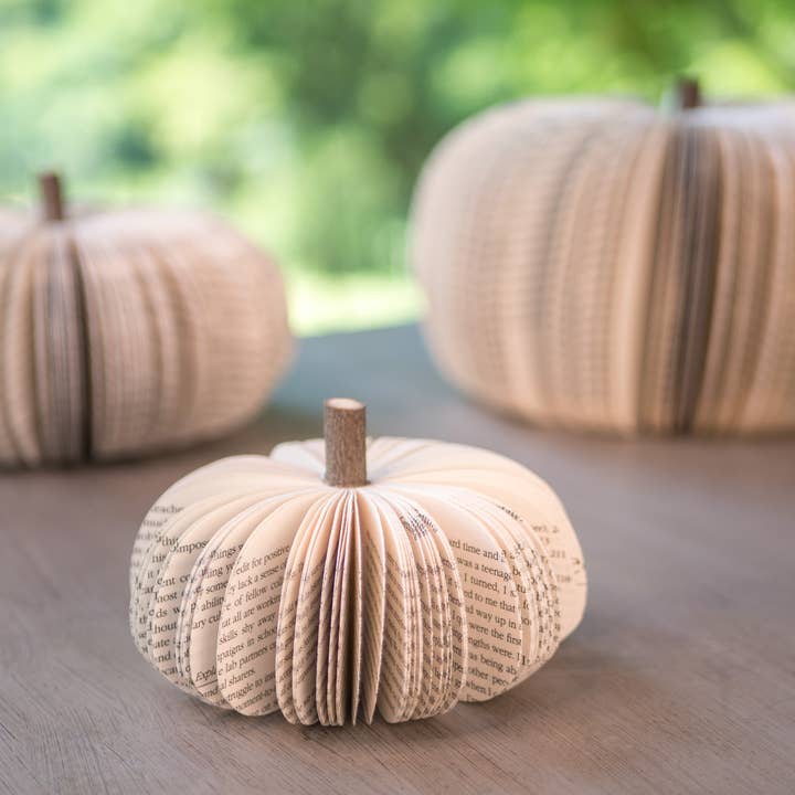 Root To Vine - Wholesale Decorative Tabletop Object - Pumpkin Tabletop Decor-Halloween and Thanksgiving Decor