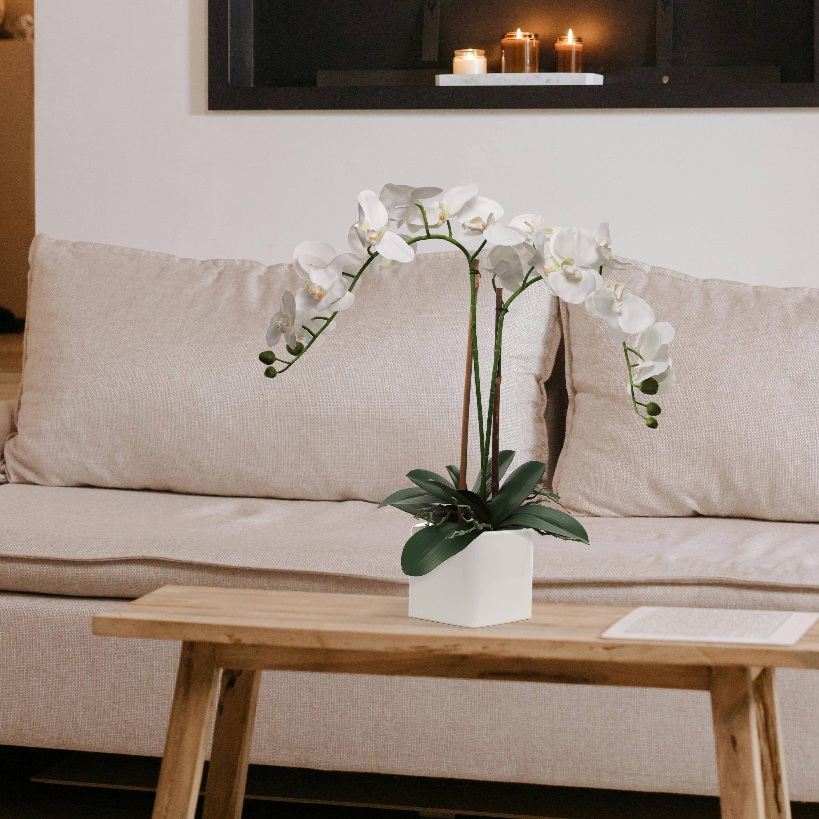 Larksilk - Wholesale Artificial Flowers - Elegant White Phalaenopsis Orchid Arrangement In 5" Cube Pot2