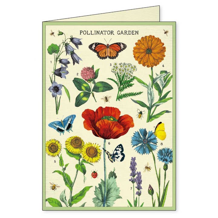 Bobangles - Wholesale Stationery/notecard set - Cavallini Boxed Notecards - Gardening4