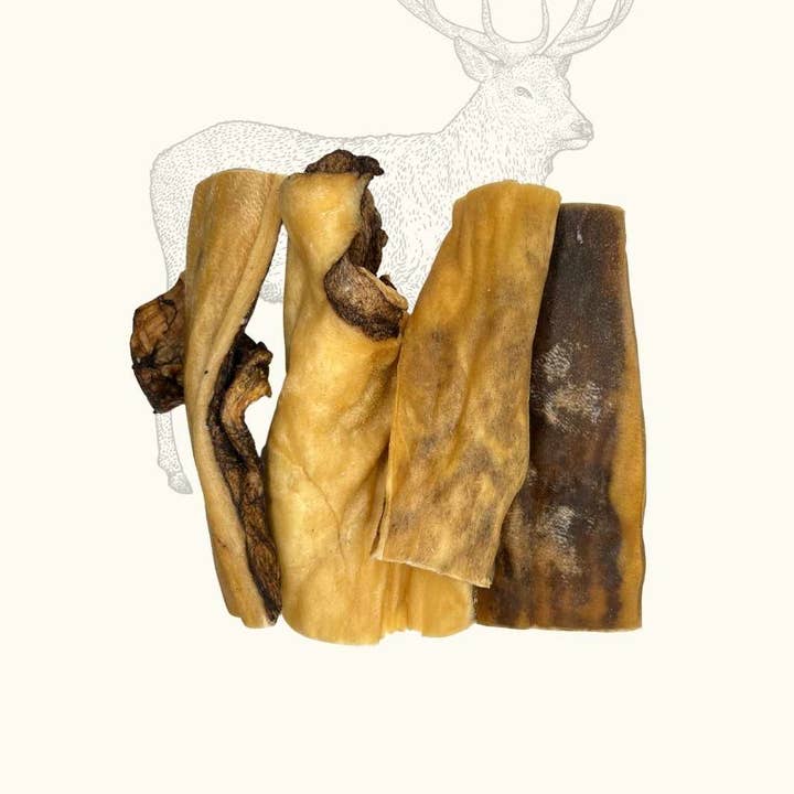 Truffe Délice - Wholesale Pet Treats - Dog - Deer skins4