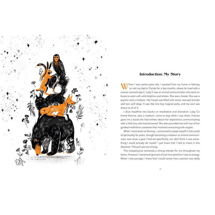 Hachette Book Group - Wholesale Pets - Animal Intuition: Communicating with Pets, Spirits & Energy3