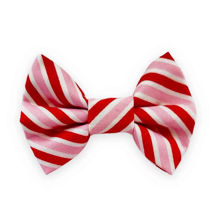 Nœud papillon pour chien et chat pour la Saint-Valentin pour la vente par Zoey Bowie Co