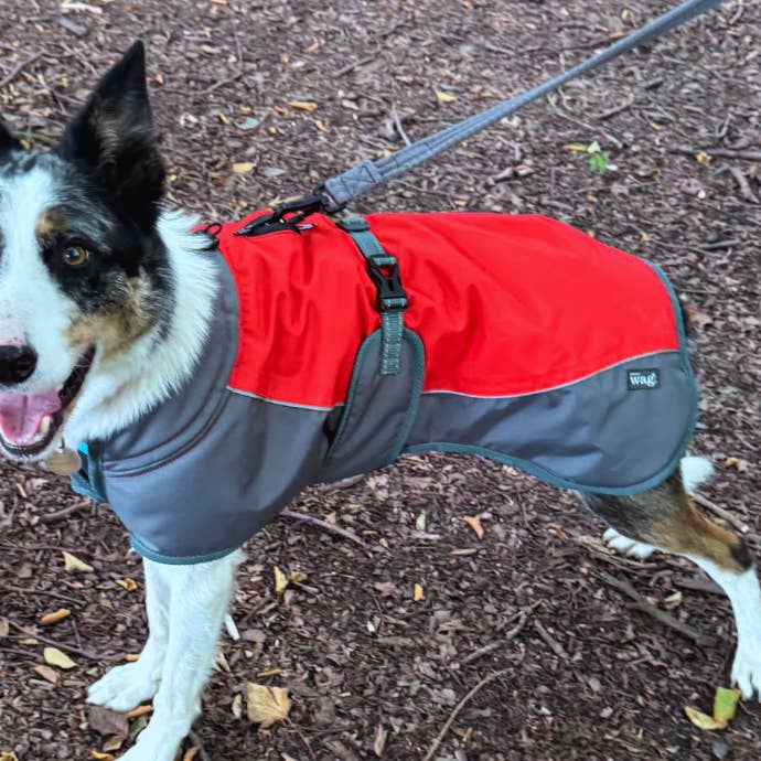 Henry Wag Red Dog Waterproof Coat for wholesale by Henry Wag